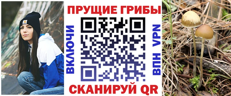 Псилоцибиновые грибы прущие грибы  купить наркотик  Асбест 